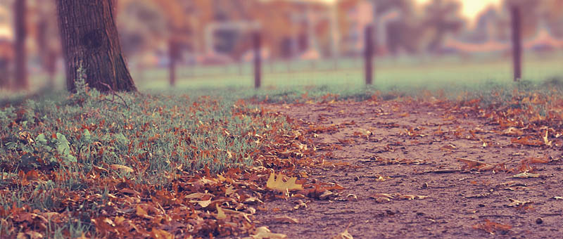 ddos压力测试平台